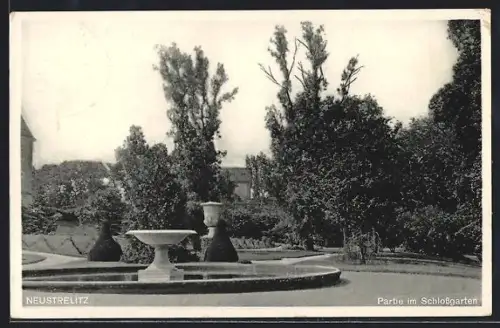 AK Neustrelitz, Partie im Schlossgarten