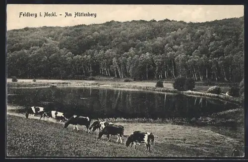 AK Feldberg i. Meckl., Am Hüttenberg