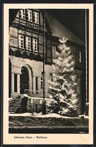 AK Schierke /Harz, Rathaus, Weihnachtsbaum im Winter