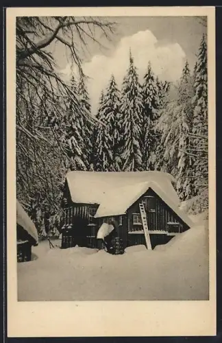 AK St. Andreasberg /Harz, Waldgaststätte Rehberger Grabenhaus im Winter