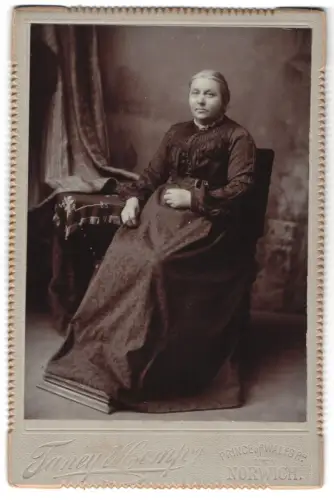 Fotografie Taney & Comp., Norwich, Prince of Wales Road, Porträt einer sitzenden Dame