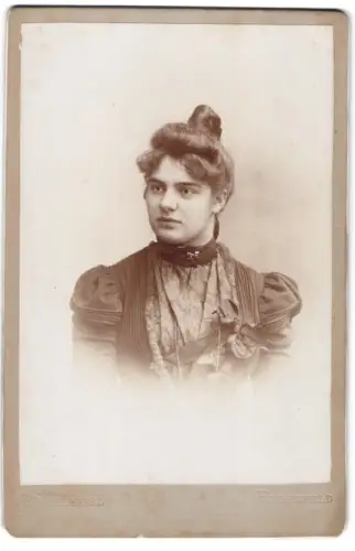 Fotografie R. Schlegel, Elberfeld, Vornehme Dame in eleganter Garderobe