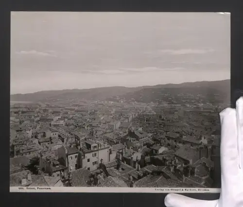 Fotografie Stengel & Markert, Dresden, Ansicht Triest, Blick über die Dächer der Stadt mit Synagoge, 28 x 23cm