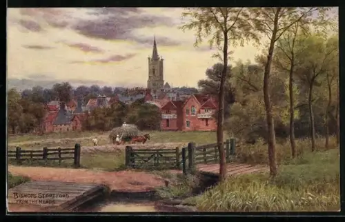 AK Bishops Stortford, general view from the meads