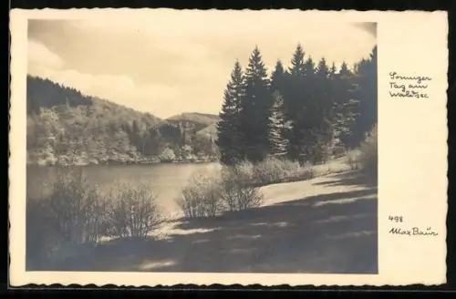 Foto-AK Max Baur: Sonniger Tag am Waldsee