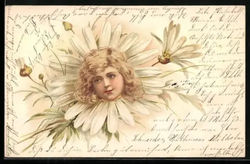 Lithographie Margeritenblüte mit Kinderkopf