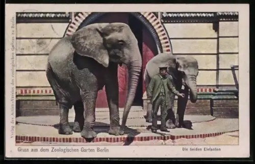 AK Berlin, Zoologischer Garten, Die beiden Elefant