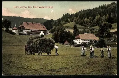 AK Bauern bei der Heuernte im Schwarzwald