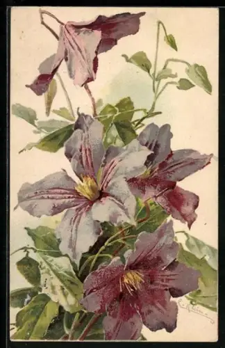 Künstler-AK Catharina Klein: Violette Blüten