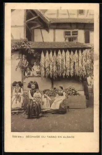 AK Sechage du Tabac, Frauen und Kinder trocknen die Tabakpflanzen