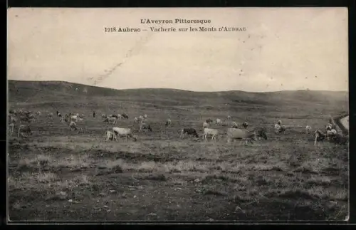 AK Aubrac, Vacherie sur les Monts d`Aubrac
