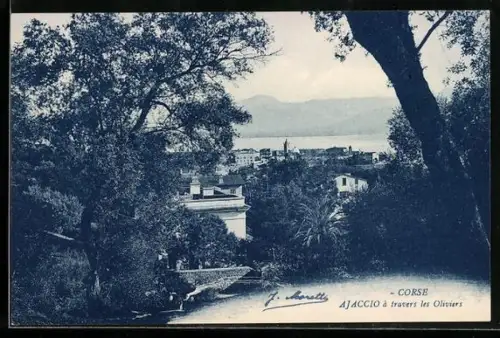 AK Ajaccio, à travers les Oliviers