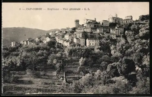 AK Rogliano, Vue générale
