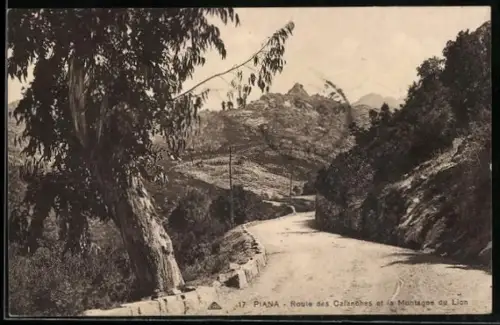 AK Piana, Route des Calanches et la Montagne de Lion