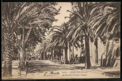 AK Ajaccio /Corse, Avenue du Premier-Consul