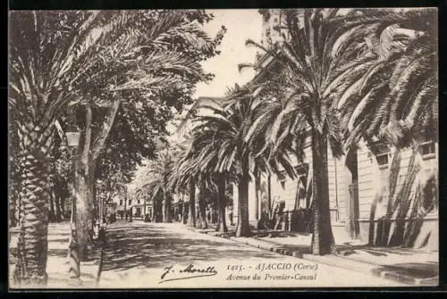 AK Ajaccio /Corse, Avenue du Premier-Consul bordée de palmiers majestueux