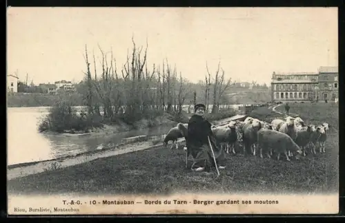 AK Montauban, Bords du Tarn, Berger gardant ses moutons