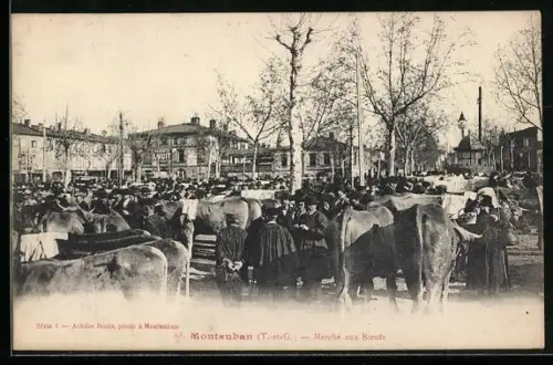 AK Montauban /T.-et-G., Marché aux Boeufs