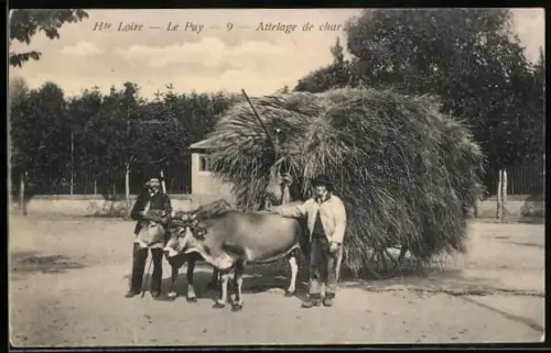 AK Le Puy /Hte Loire, Attelage de char