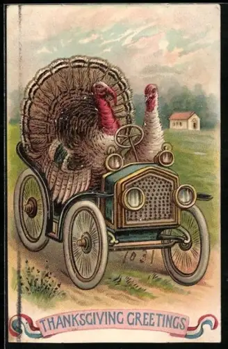 AK Zwei Truthähne in einem Auto, Thanksgiving Greetings