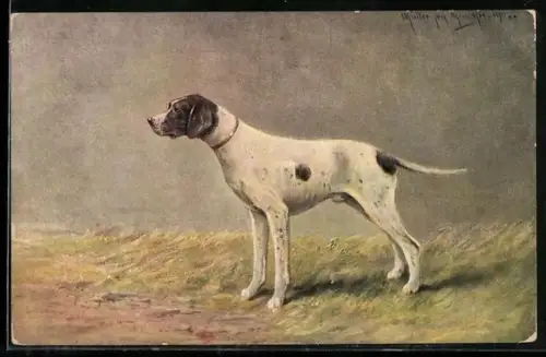 Künstler-AK M. Müller jun.: Jagdhund auf einer Wiese