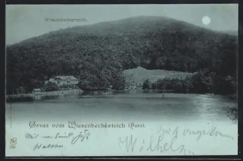 Mondschein-AK Wiesenbeckerteich /Harz, Uferpartie