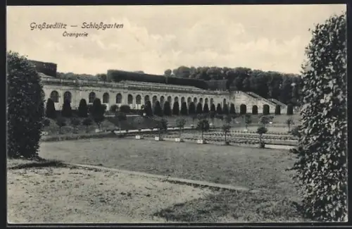 AK Grosssedlitz, Schlossgarten, Orangerie