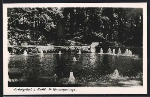 AK Ludwigslust i. Meckl., 24 Wassersprünge