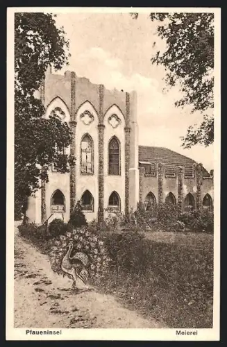 AK Berlin-Wannsee, Pfaueninsel, Meierei