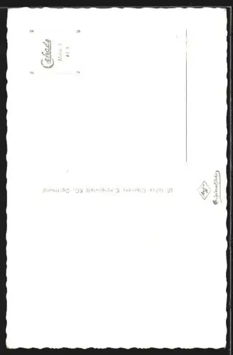 AK Meppen /Ems, Rathaus