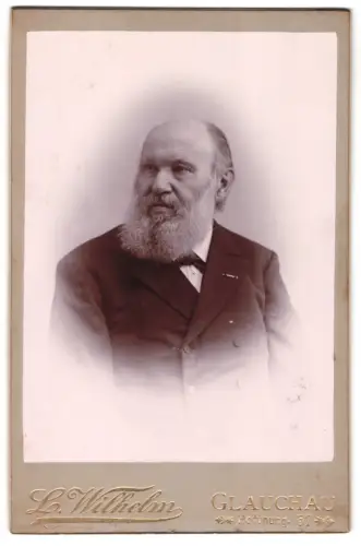 Fotografie L. Wilhelm, Glauchau, Hoffnung 37, Herr im Anzug mit Bart