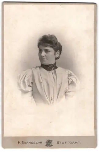 Fotografie H. Brandseph, Stuttgart, Marienstrasse 36, Porträt einer Dame