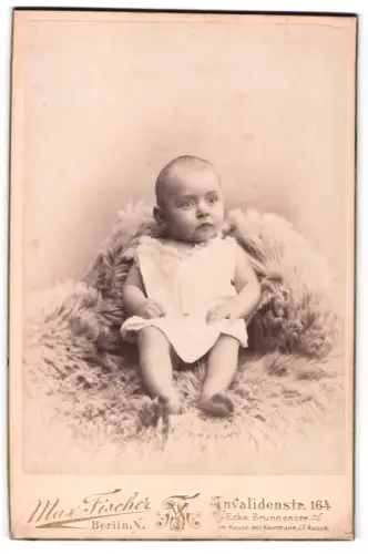 Fotografie Max Fischer, Berlin, Invalidenstr. 164, Kleinkind auf Fell