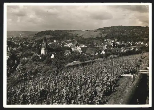 Fotografie Ansicht Uhlbach b. Stuttgart, Blick über die Weinreben nach dem Dorf