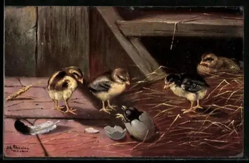 Künstler-AK Alfred Schönian: Küken neben einem frisch geschlüpften Geschwisterchen
