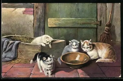 Künstler-AK Alfred Schönian: Vier Katzen bei einer Wasserschüssel
