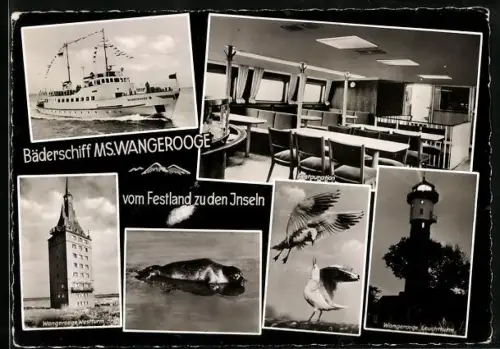 AK Bäderschiff MS. Wangerooge, Schiffansicht, Ansicht vom Restaurant, Leuchtturm Wangerooge