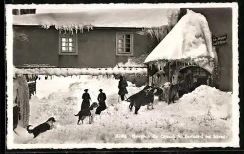 AK Hospice de Grand St-Bernard en hiver, Bernhardiner
