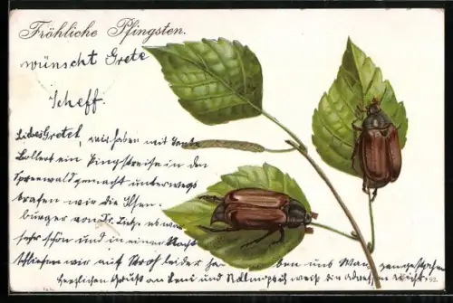 Lithographie Zwei Maikäfer auf Birkenblättern, Pfingstgruss
