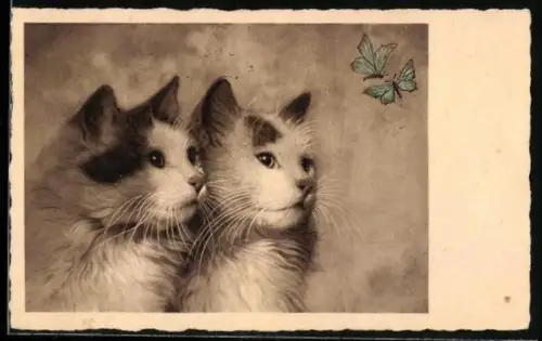 AK Zwei Katzen beäugen zwei flatternde Schmetterlinge