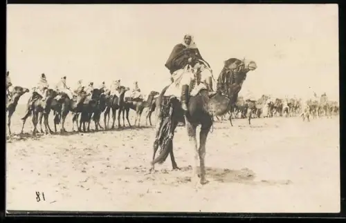 AK Tunis, Kamelrennen vor dem Start, Beduinen