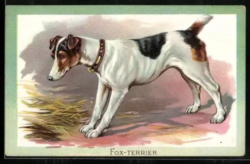Präge-AK Fox-Terrier, Portrait