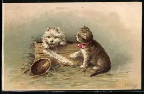 AK Kätzchen und Terrier