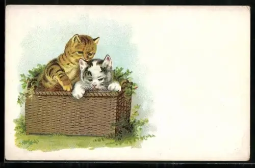 Lithographie Zwei Katzenkinder in einem Korb im Grünen