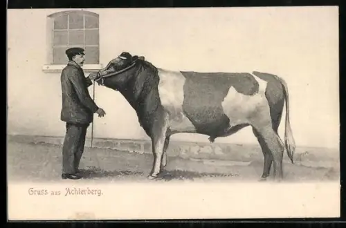 AK Achterberg /Dorfmark, Bauer mit Rind vor Stallgebäude