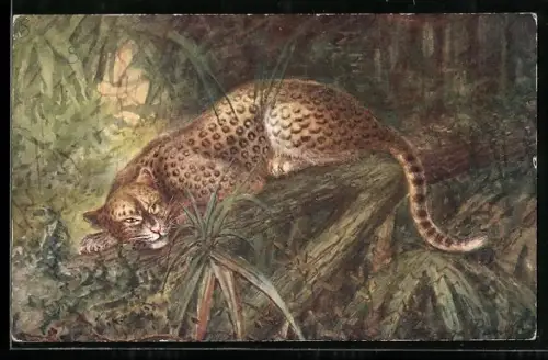 Künstler-AK Leopard verbirgt sich im Unterholz des Dschungels