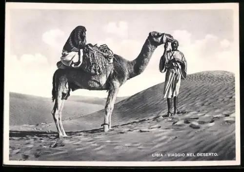 AK Dromedar in der lybischen Wüste