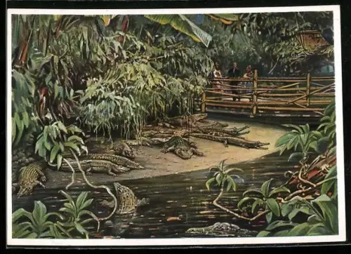 Künstler-AK Berlin, Grosses Tropenterrarium, Krokodile in der Krokodilhalle
