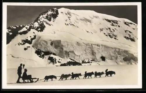 AK Jungfraujoch, Polarhunde mit Schlitten, Mönch im Hintergrund