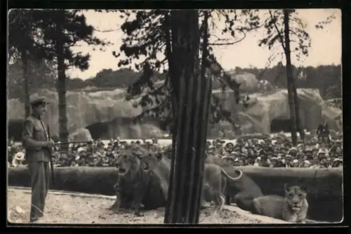AK Paris, Parc Zoologique, Löwen und ihr Pfleger